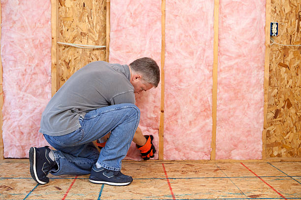 Professional Insulation Contractor in LA