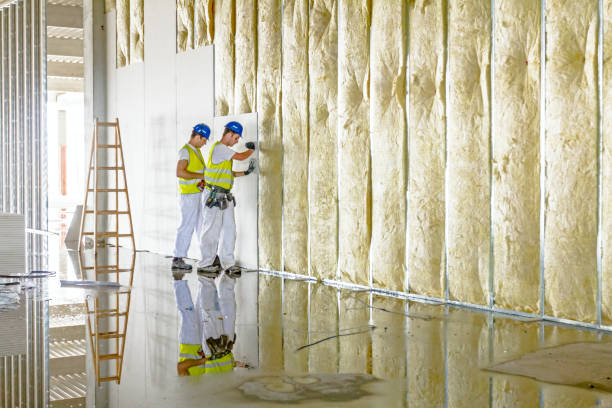 Best Insulation Installation Services in Egan, LA